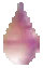 Condor Magical Drops