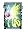 Kalima Ticket