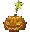 Pumpkin of Luck