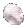 Cherry Blossom Flower Petal