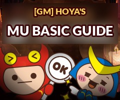 Basic guide
